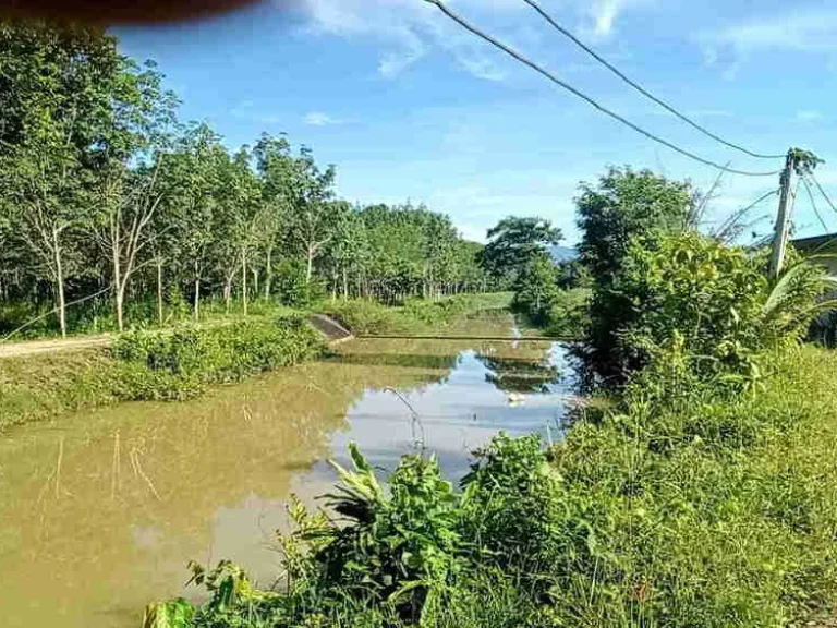 สวนทุเรียนโฉนด 5 ไร่ 3 งาน ทำเลมะขาม จันทบุรี ราคาต่อรองได้