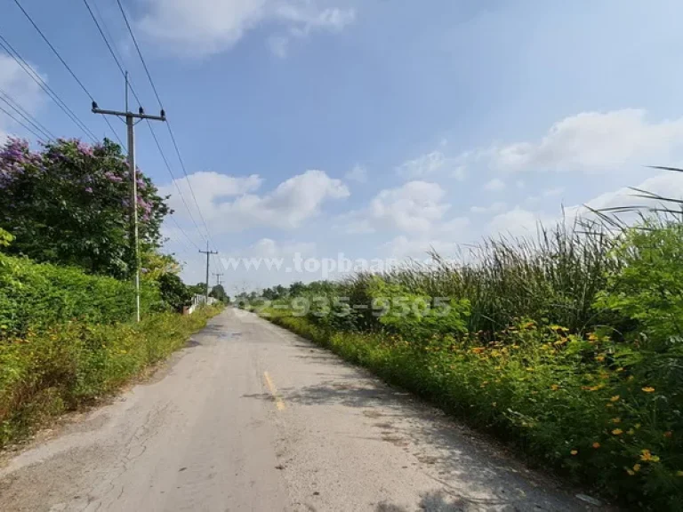 ขายที่ดิน คลอง 10 ถนนรังสิต-นายก อำเภอธัญบุรี ปทุมธานี