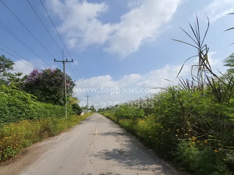 ขายที่ดิน คลอง 10 ถนนรังสิต-นายก อำเภอธัญบุรี ปทุมธานี