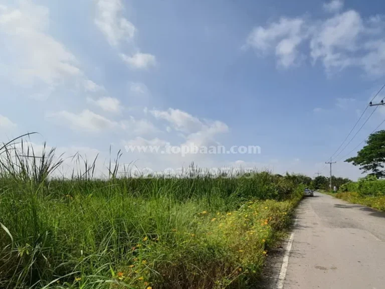 ขายที่ดิน คลอง 10 ถนนรังสิต-นายก อำเภอธัญบุรี ปทุมธานี