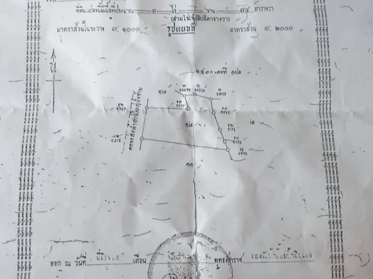 ขายที่ดินติดถนนดำเส้น 4024 ตท่าแลง อท่ายาง เพชรบุรี 3-0-74 ไร่