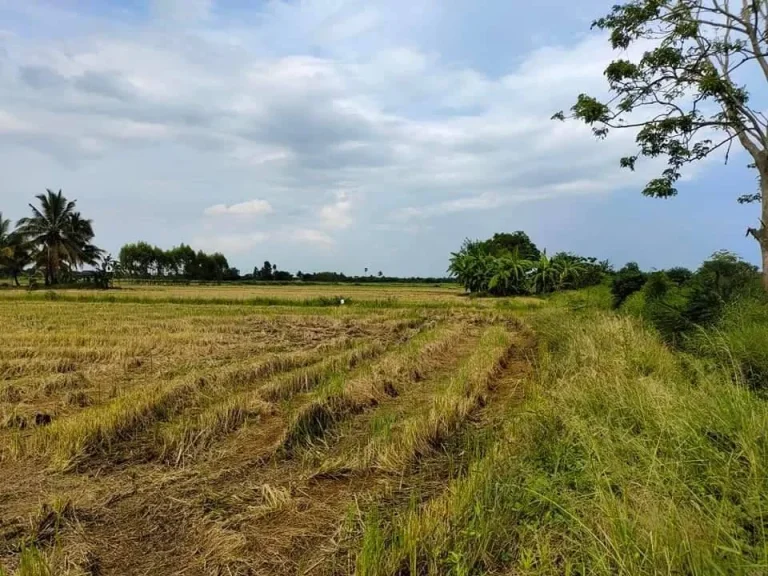 ขายที่ดิน บ้านมะเกลือใหม่ เป็นโฉนด เจ้าของขายเอง พร้อมโอน นครราชสีมา