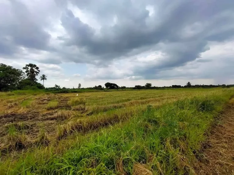 ขายที่ดิน บ้านมะเกลือใหม่ เป็นโฉนด เจ้าของขายเอง พร้อมโอน นครราชสีมา