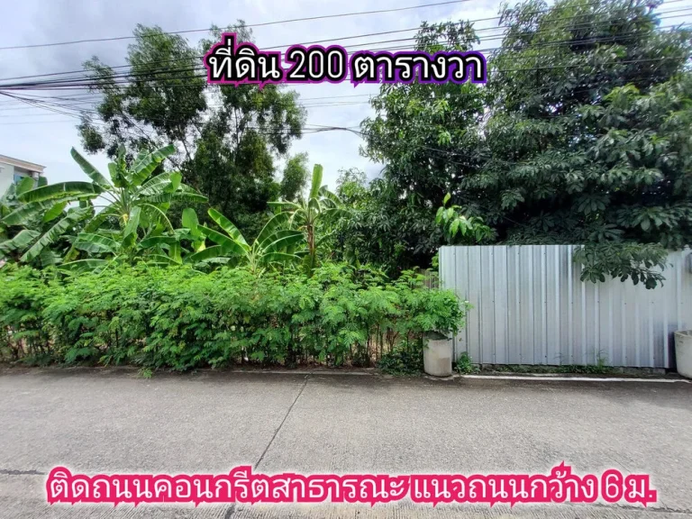 ขายที่ดินใกล้MRTบางรักใหญ่ 200 ตารางวาถมแล้วทั้งแปลงซอย วัดบางรักใหญ ถนนรัตนาธิเบศร์