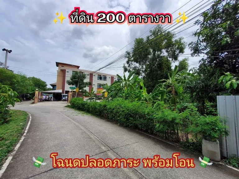 ขายที่ดินใกล้MRTบางรักใหญ่ 200 ตารางวาถมแล้วทั้งแปลงซอย วัดบางรักใหญ ถนนรัตนาธิเบศร์