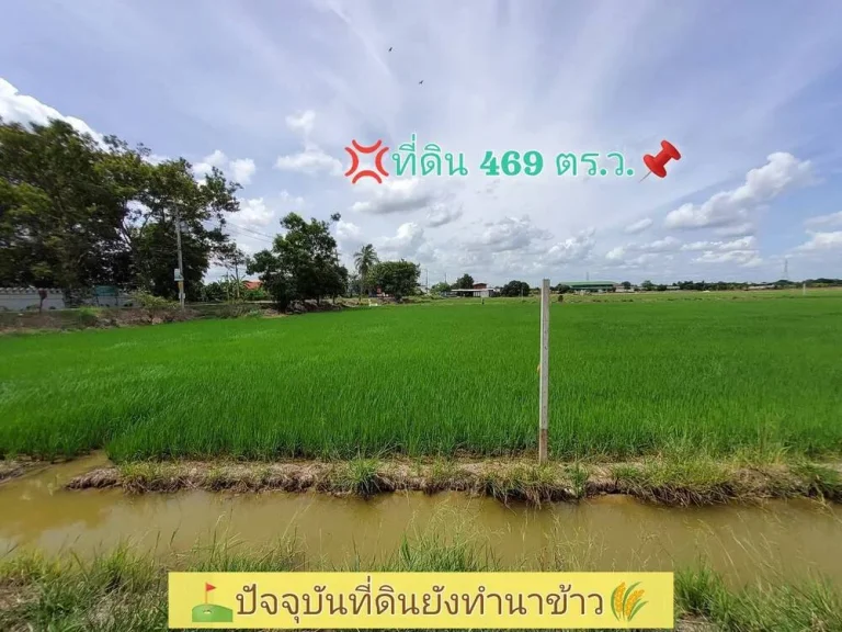 ขายถูก ที่ดินใกล้วัดมะสง 469 ตารางวา ติดซอยเมน คอนกรีตสาธารณะ ตทวีวัฒนา อไทรน้อย