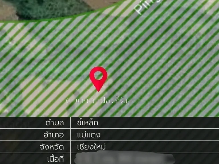 ขายที่ดินติดน้ำปิง 5-3-31 ไร่ ใกล้แยกปายตัดใหม่ อแม่แตง เชียงใหม่