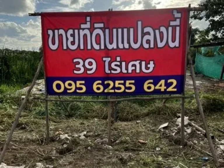 ขายที่ดินติดถนนไสวประชาราษฎร์ คลอง 4 ลำลูกกาใกล้ตลาดกลางลาดสวาย