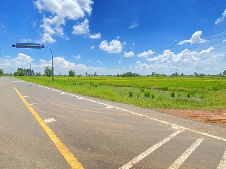 ขายที่ดินจังหวัดบุรรัมย์ ด้านหน้าติดทางหลวงชนบท บร3021ด้านข้างที่ดินมีถนน หินคลุก