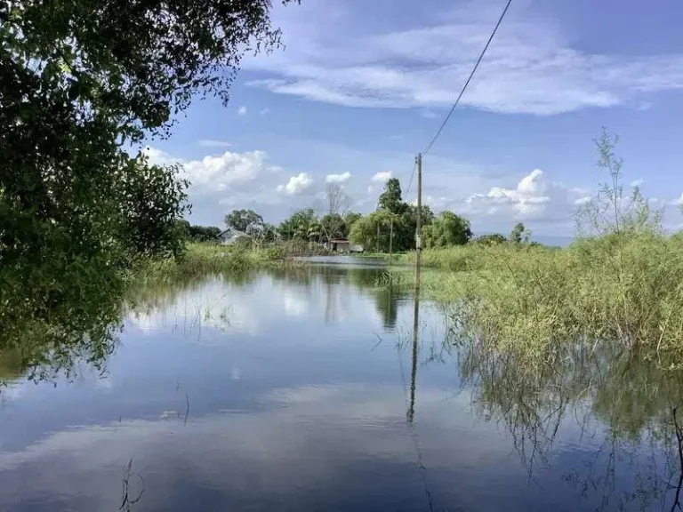 ขายที่นา ติดคลองใหญ่ เหมาะสำหรับทำการเกษตร อำเภอเมืองปราจีนบุรี