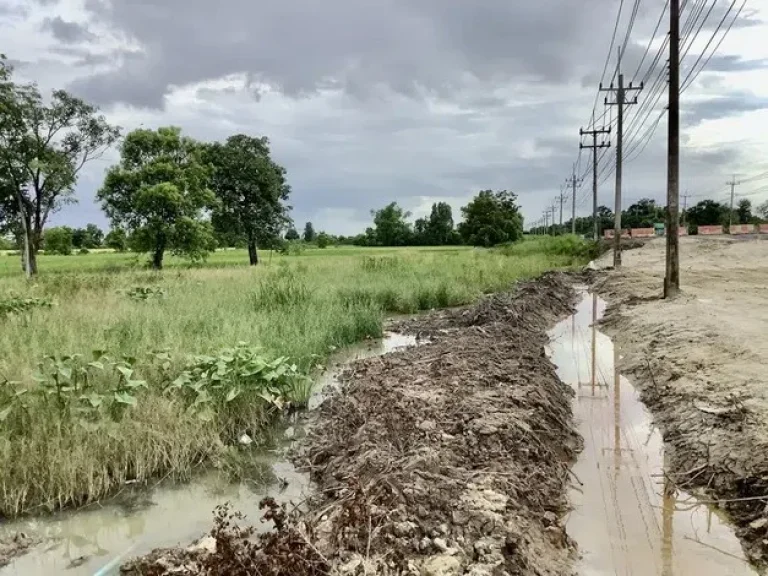 ขายที่ดิน ติดถนนใหญ่ ทำเลดี เส้นปราจีน-บ้านสร้าง ติดถนน 4 เลน