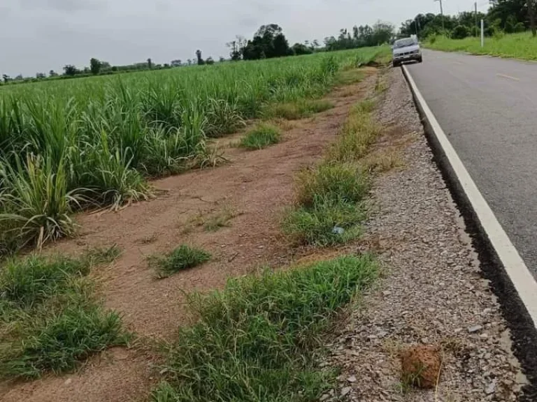 ที่ดินเปล่าแปลงสวย ติดถนนลาดยาง มีไฟฟ้า และแหล่งน้ำ อศรีนคร สุโขทัย