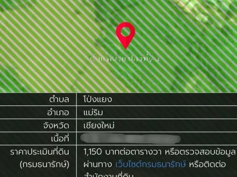 ขายที่ดินเนินเขา 5-1-60 ไร่ วิวดอยสวย โป่งแยง เชียงใหม่