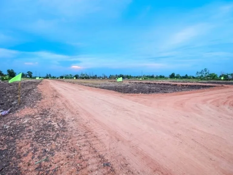 ที่ดินแปลง 100 ตรวถนนคลอง12 ถนนประชาสำราญ หนองจอก กรุงเทพฯ