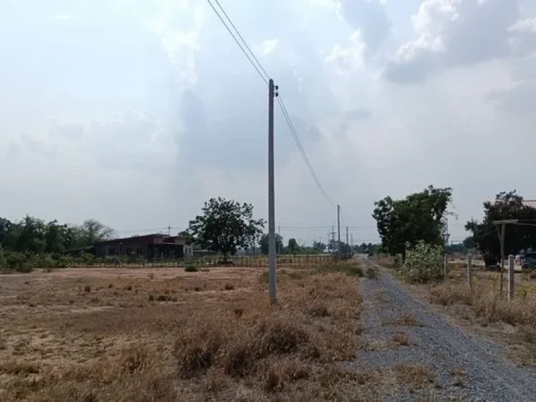 ขายด่วนๆที่ดิน 3 ไร่ ตำบลสระกระโจม อำเภอดอนเจดีย์ จังหวัดสุพรรณบุรี