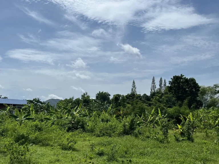 ที่ดินติดลำห้วย 2 ไร่ แก่งกระจาน สวนเกษตรผสมผสาน ร่มรื่น น่าอยู่มากๆๆ