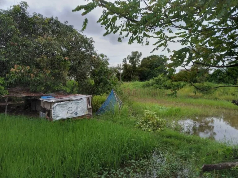 ขายที่ดิน 0-2-0 THB1300000 นาดี เมือง อุดรธานี