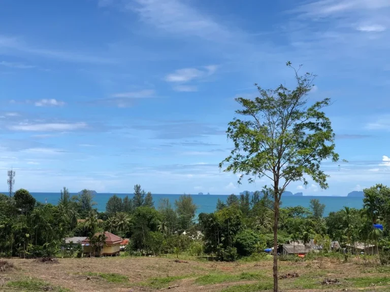 ที่ดินเปล่าวิวทะเล ใกล้หาดลองบีช ในเขตชุมชนศาลาด่าน