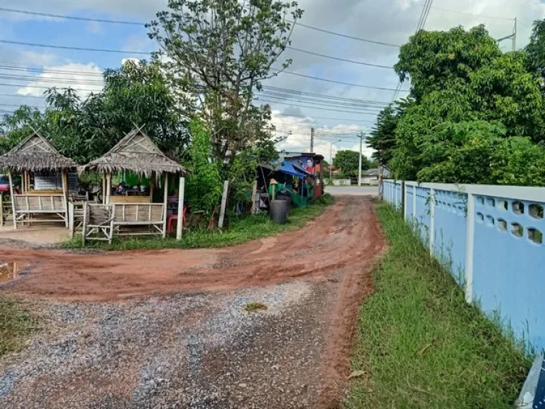 ขายที่ดินที่นา 1ไร่ 3ล้านบาท ถนนบายพาส น้ำ ไฟฟ้า บ้านขี้เหล็กใหญ่ ตในเมือง อเมือง ชัยภูมิ