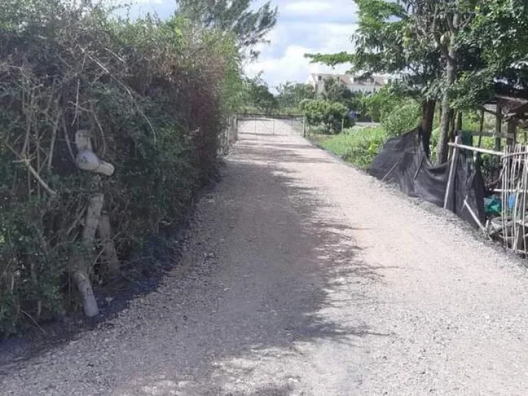 ขายที่ดินบ้านแหวนหางดงติดถนนลาดยางโฉนดพร้อมโอนราคาถูก