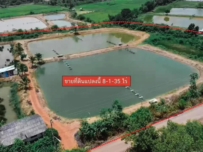 ขายที่ดิน 8-1-35 ไร่ เทศบาลซอย 4 หมู่ที่ 12 ซอยข้างวัดมงคลเทพ ตปากน้ำ อบางคล้า จฉะเชิงเทรา