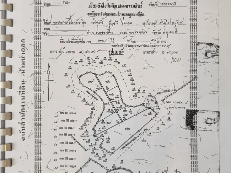 ขายที่ดินติดริมแม่น้ำ ตวังลึก อสามชุก จสุพรรณบุรี