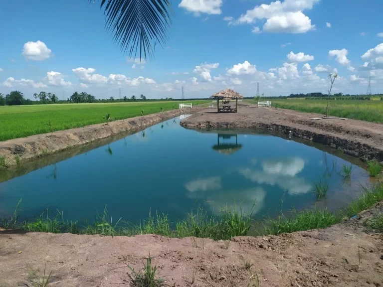 ขายที่ดินริมน้ำ วิวสวยมาก เหมาะทำโคกหนองนา บางเลน นครปฐม