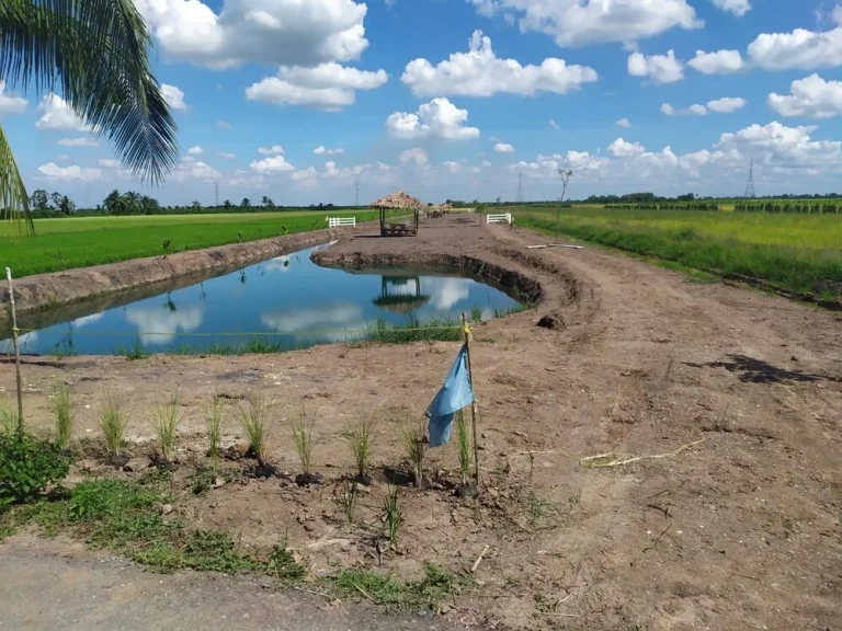 ขายที่ดินริมน้ำ วิวสวยมาก เหมาะทำโคกหนองนา บางเลน นครปฐม