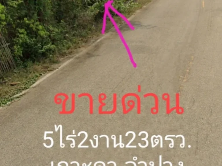 ขายที่ดิน 5-2-23 ไร่ เกาะคา จลำปาง ใกล้วัดพระธาตุลำปางหลวง