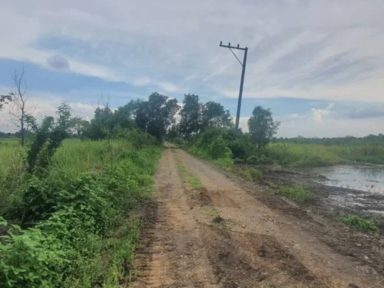 ที่ดินถูกมาก เริ่ม 90 ตรวโครงการบ้านสวยเกษตรคลอง10 รพีพัฒน์ ส่งต่อความสุข