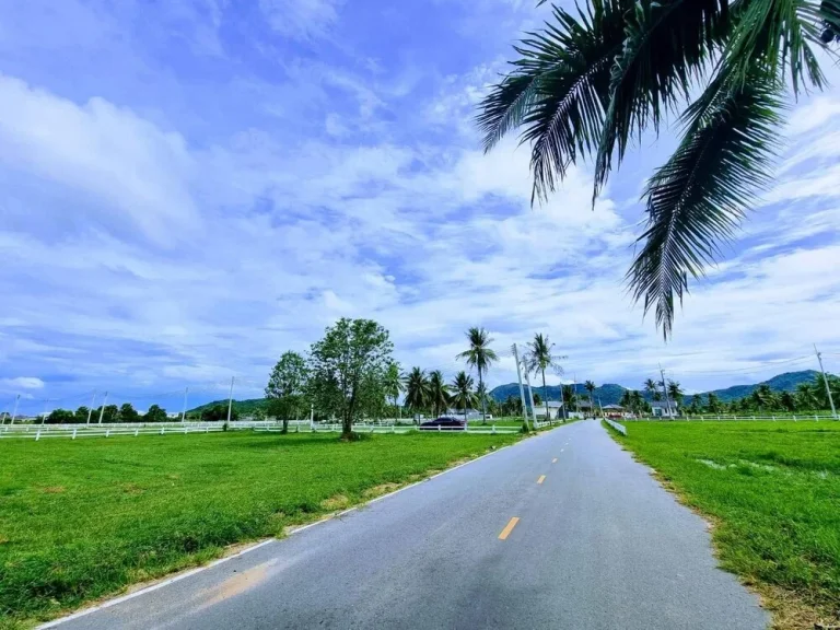 ขายที่ดินเปล่า ชะอำ-หัวหิน อุดมด้วยธรรมชาติเขียวขจี ตอนนี้เหลือ2แปลงสุดท้าย