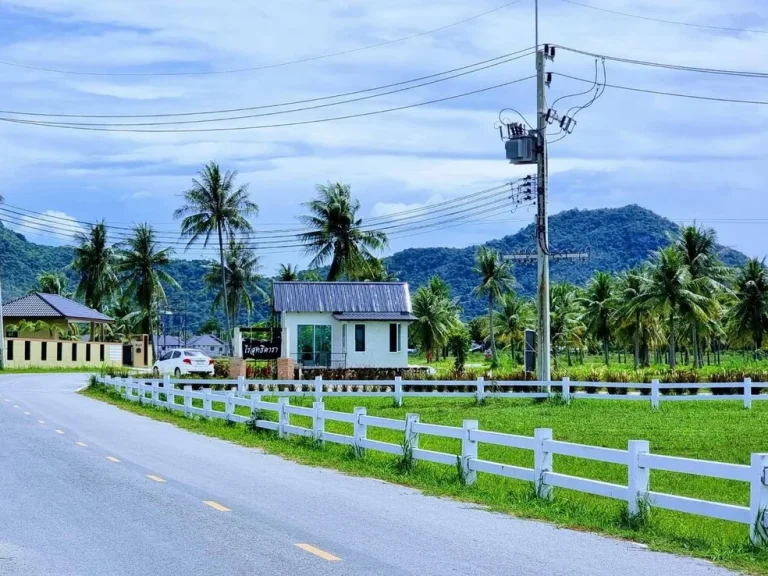 ขายที่ดินเปล่า ชะอำ-หัวหิน อุดมด้วยธรรมชาติเขียวขจี ตอนนี้เหลือ2แปลงสุดท้าย