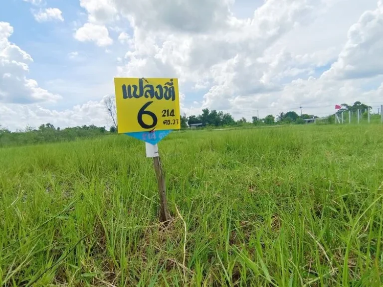 ขายที่ดินติดถนนสาธารณะ 3 ด้าน โฉนดครุฑแดง พื้นที่ทำเลทองของจังหวัดนครนายก ในราคาที่ถูกที่สุด 8600 บาทตารางวา ราคาสามารถต่อรองได้ค่ะ