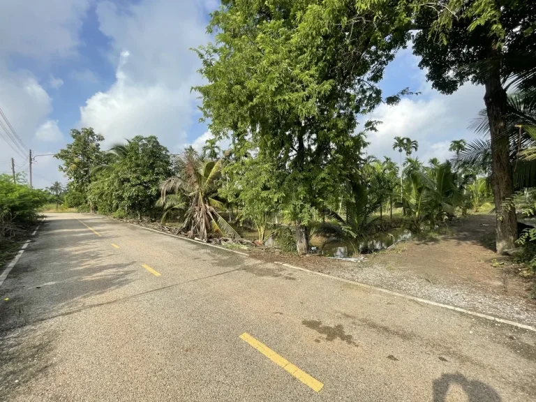 ขายที่ดิน ใกล้เมืองฉะเชิงเทราด่วน เจ้าของขายเองถูกที่สุดในย่านนี้