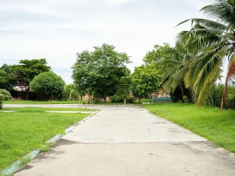 ขาย บ้านเดี่ยวหลังใหญ่ 2 ไร่ 32 ตรว ถประชาอุทิศ บางใหญ่ นนทบุรี