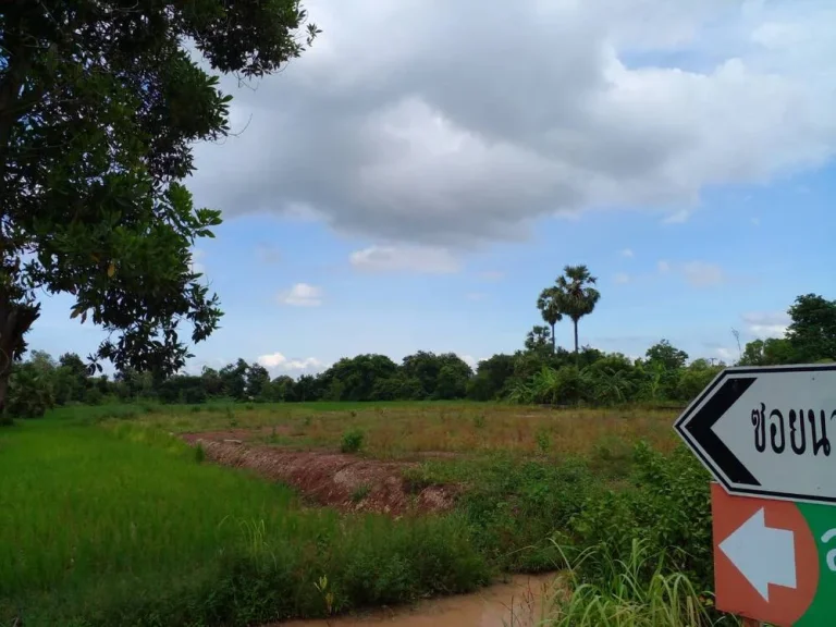 ขายที่ดิน 1-0-0 THB3080000 หนองนาคำ เมือง อุดรธานี