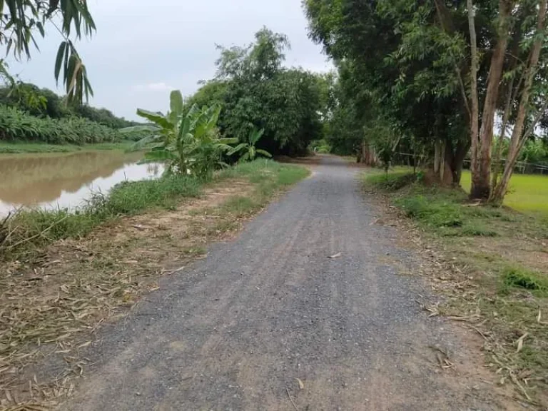 ขายที่สวย 4 ไร่ รูปแปลงสี่เหลี่ยมสวยทำเลดีธรรมชาติติดริมน้ำหน้าแปลง มีเพื่อนบ้านเหมาะปลูกบ้านอยู่อาศัยทำสวนเกษตรอินทรีย์ไม่เคยมีประวัติน้ำท่วม