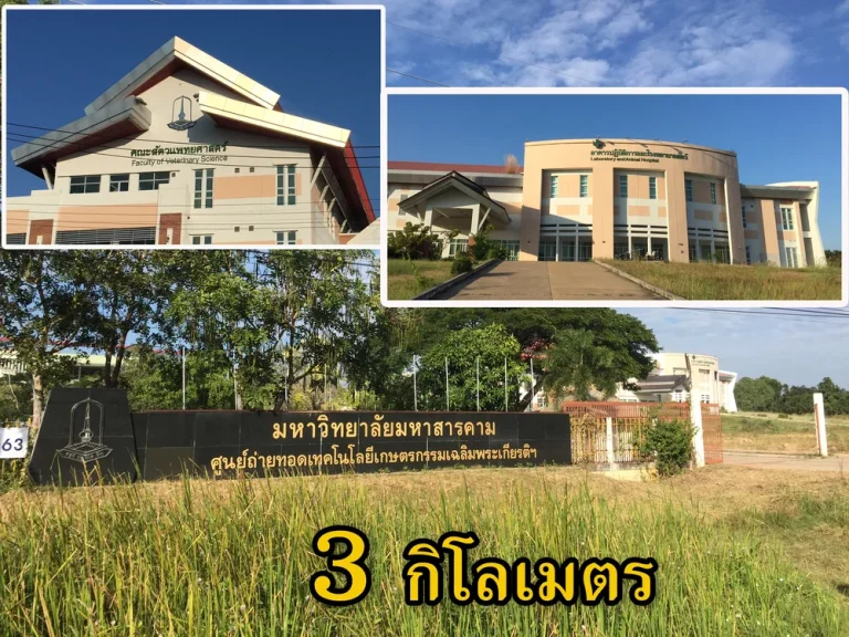 ขาย ที่ดิน 12 ไร่ ใกล้ คณะสัตวแพทยศาสตร์ มหาลัยมหาสารคาม