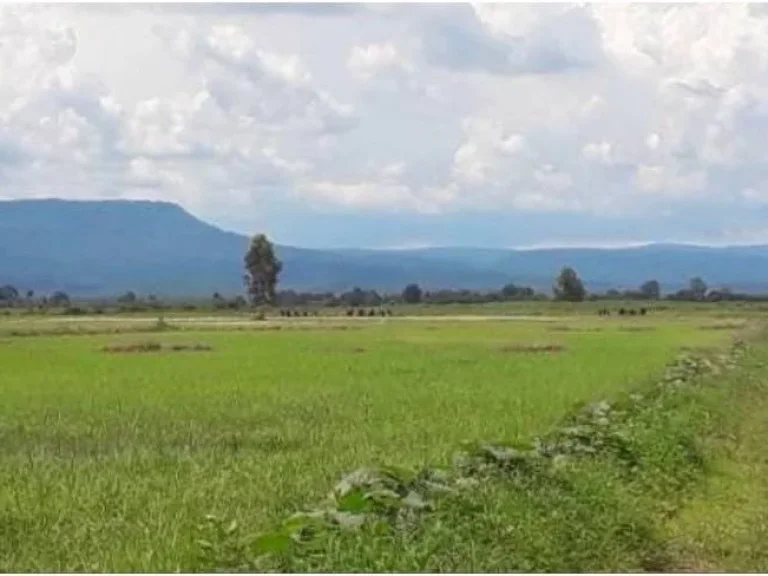 ขายที่ดินวิวเขา แนวไร่นาสวนผสม ใกล้อ่างเก็บน้ำพระปรง จสระแก้ว