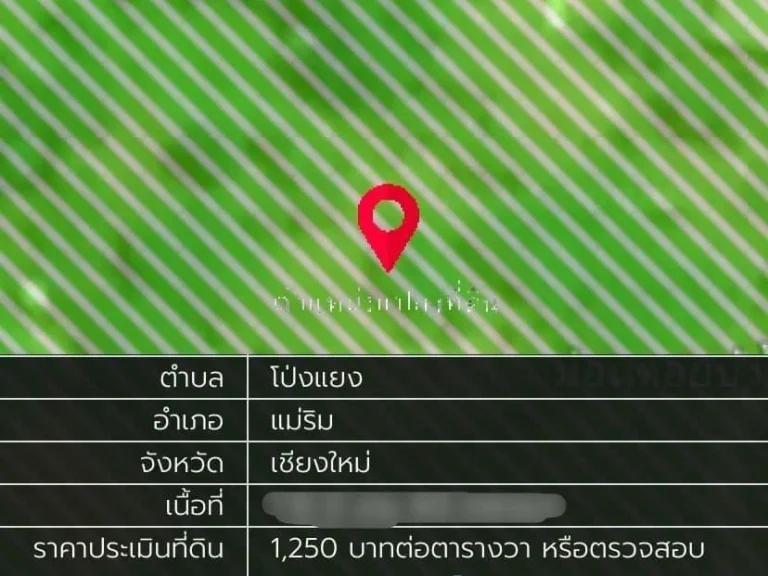 ขายที่ดิน 1-0-04 ไร่ โป่งแยงวิวดอย อแม่ริม เชียงใหม่