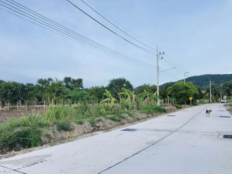 ขายที่ดินสวย วิวภูเขา ใกล้แหล่งชุมชน ใกล้หาดบางแสน ชลบุรี