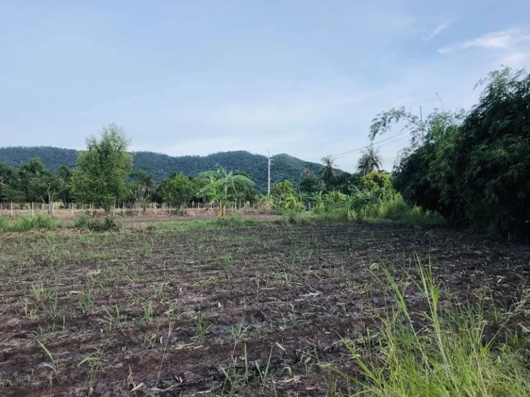 ขายที่ดินสวย วิวภูเขา ใกล้แหล่งชุมชน ใกล้หาดบางแสน ชลบุรี