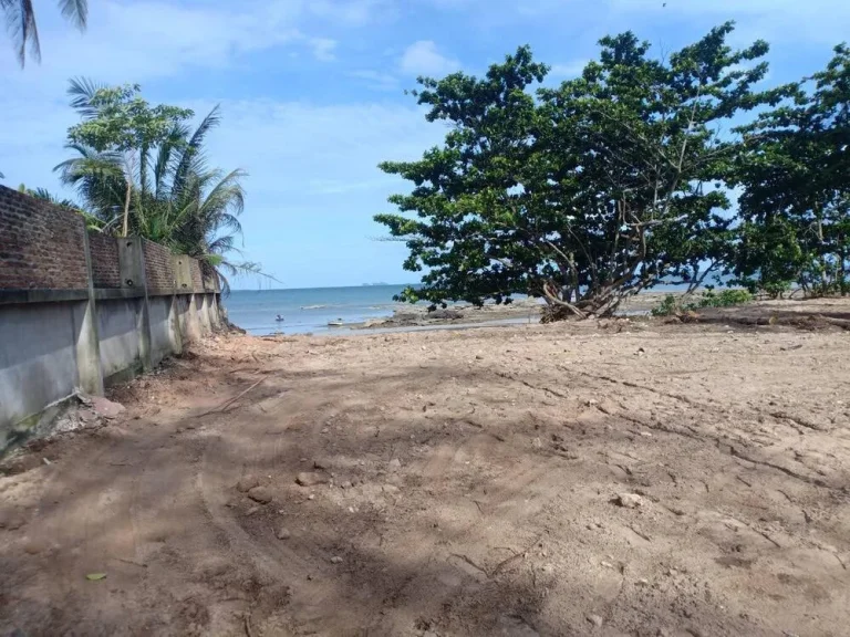 ขาย ที่ดินติดหาด ติดถนน 2 ไร่ 28 ตรว ตสะพลี อปะทิว จชุมพร