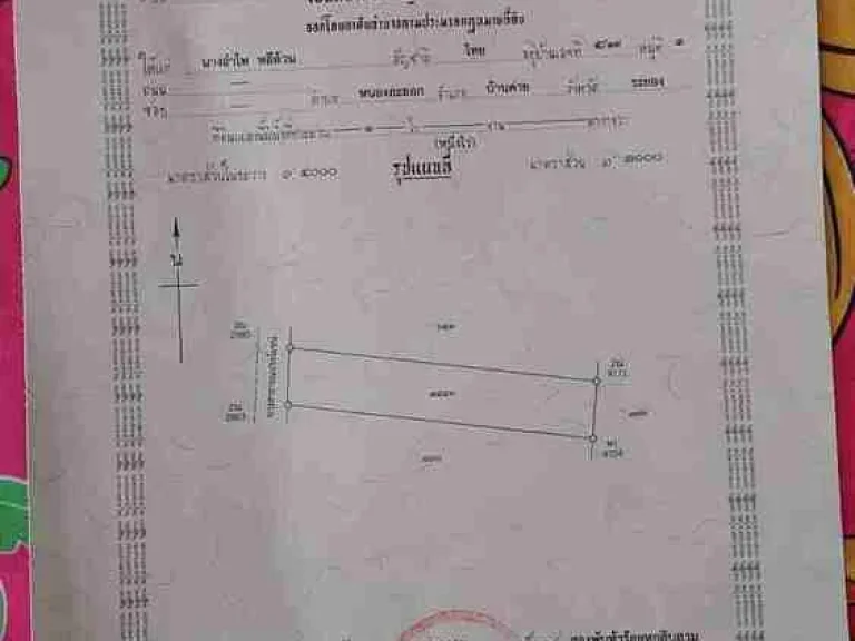 ขายที่ดิน ติดถนน โฉนดเลขที่ 77255 อำเภอบ้านค่าย ระยอง