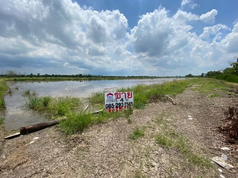 ขายที่ดินเปล่า ลำลูกกา คลอง14 ปทุมธานี พื้นที่4ไร่ ใกล้โรงเรียนบ้านคลอง14