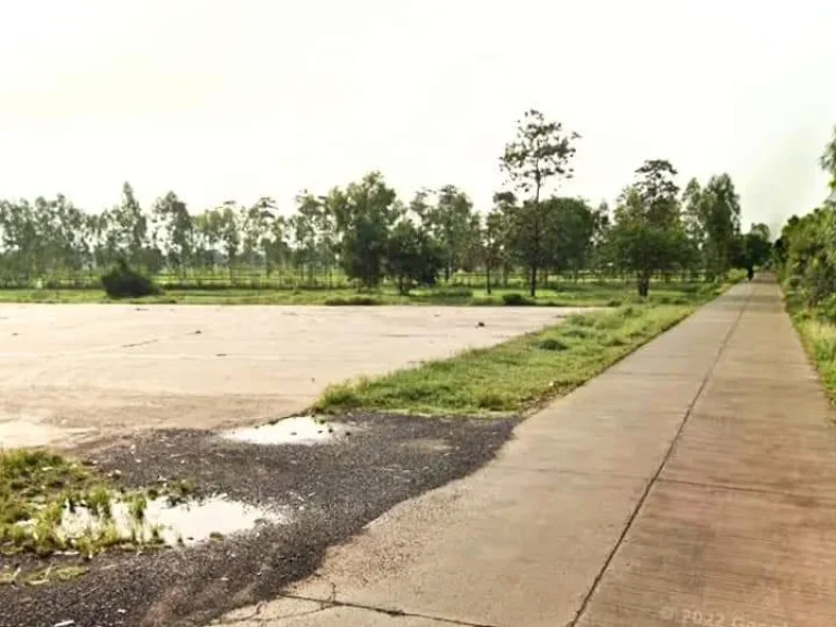 ที่ดินพร้อมลานตากพืชผลการเกษตร ติดถนน วิวสวย อนางรอง บุรีรัมย์