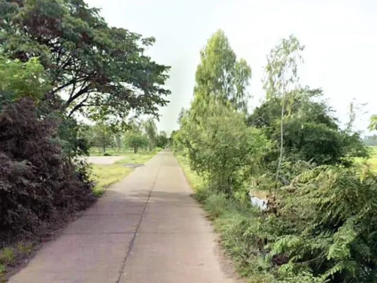 ที่ดินพร้อมลานตากพืชผลการเกษตร ติดถนน วิวสวย อนางรอง บุรีรัมย์