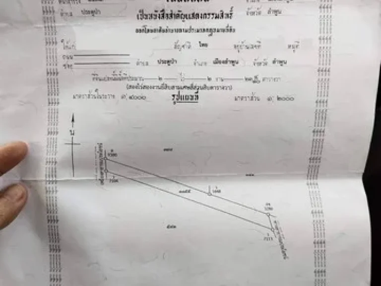 ขายที่ดินสวนลำไย 5-2-15ไร่ 34ล้านบาท ถนนคอนกรีต ไฟฟ้า ประปา ตประตูป่า อเมือง จลำพูน