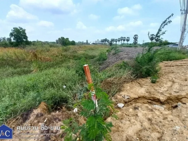 ขาย ที่ดินเปล่า 3-3-232 ไร่ ถกาญจนาภิเษก อลาดหลุมแก้ว จปทุมธานี