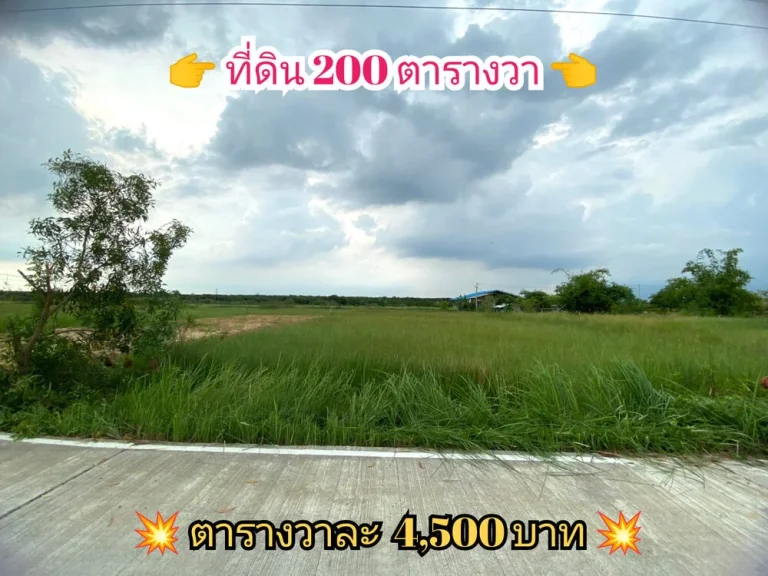 ขายด่วน ที่ดินสร้างบ้าน 200 ตารางวาติดถนนคอนกรีตสาธารณะ มีไฟฟ้าประปา ค10 อหนองเสือ